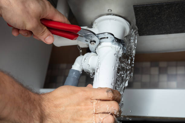 Best Mold removal after water damage  in Hackensack, NJ