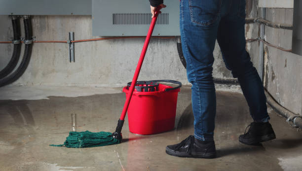 Best Water damage contractors near me  in Hackensack, NJ