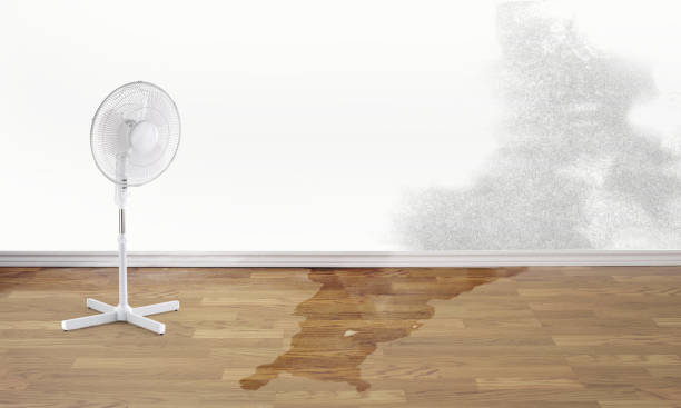 Best Fire Damage Restoration  in Hackensack, NJ