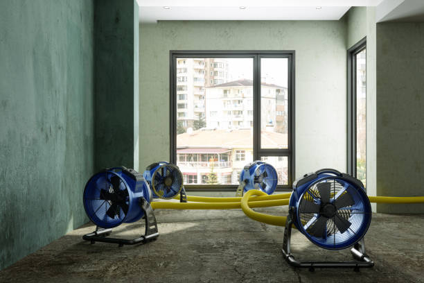 Best Local water damage restoration  in Hackensack, NJ